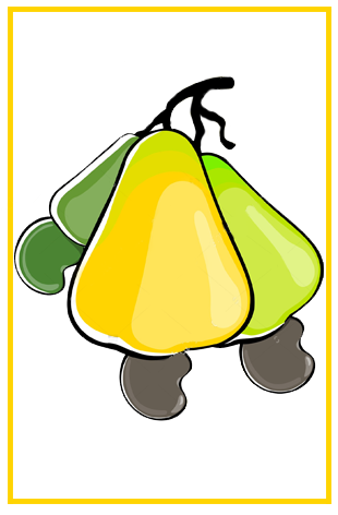 Eastern Cashew