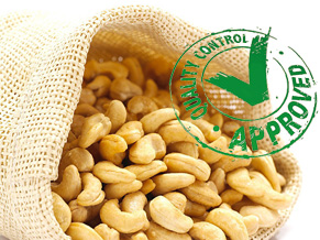 Eastern Cashew